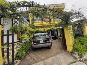 Dã Quỳ Home
